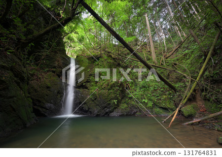 Bodai Falls (Kita Ward, Kyoto City, Kyoto Prefecture) 131764831