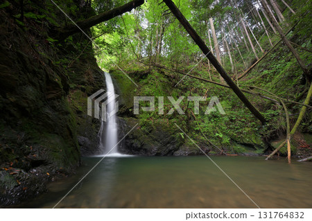 Bodai Falls (Kita Ward, Kyoto City, Kyoto Prefecture) 131764832