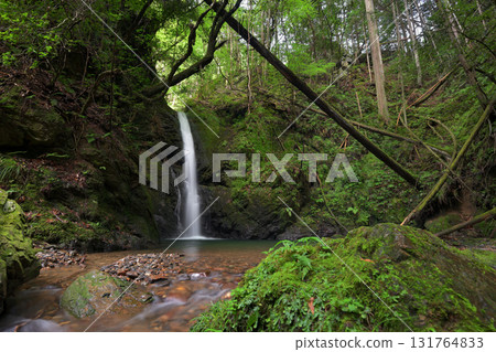 Bodai Falls (Kita Ward, Kyoto City, Kyoto Prefecture) Bodai Falls (Kita Ward, Kyoto City, Kyoto Prefecture) 131764833