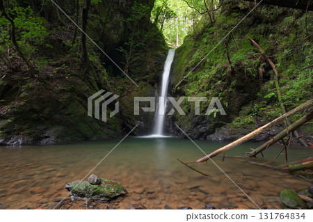 Bodai Falls (Kita Ward, Kyoto City, Kyoto Prefecture) 131764834