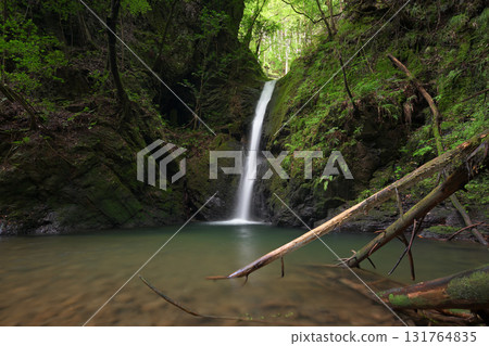 Bodai Falls (Kita Ward, Kyoto City, Kyoto Prefecture) 131764835