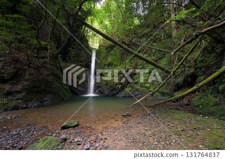 Bodai Falls (Kita Ward, Kyoto City, Kyoto Prefecture) 131764837