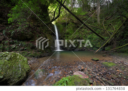 Bodai Falls (Kita Ward, Kyoto City, Kyoto Prefecture) 131764838