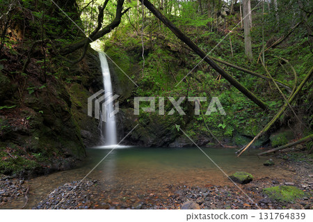 Bodai Falls (Kita Ward, Kyoto City, Kyoto Prefecture) 131764839