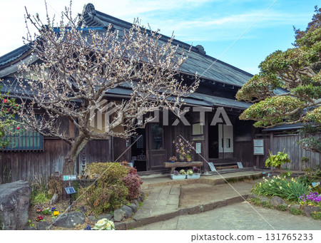 The main building of the Amegaku Bunko Library, the last historical magistrate's office preserved in Isehara City The main building of the Amegaku Bunko Library, the last historical magistrate's office preserved in Isehara City 131765233