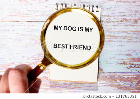 A hand holds a magnifying glass over a notebook. The glass focuses on the words MY DOG IS MY BEST FRIEND. This is set on a light, painted wood surface 131765351
