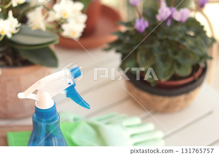 Blooming flowers in terracotta clay pots and gardening tools on balcony table. Nature and plant care at home. Space planning and interior design. Blooming flowers in terracotta clay pots and gardening tools on balcony table. Nature and plant care at home. Space planning and interior design. 131765757