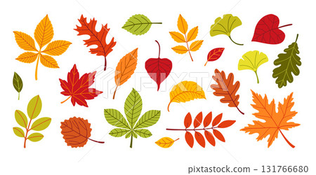 Autumn leaves set. Different leaves. Hand drawn trendy flat style  131766680