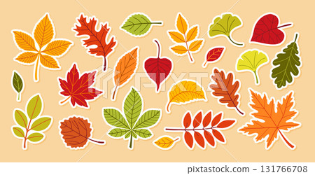 Autumn leaves sticker set. Different leaves. Hand drawn trendy flat style  131766708