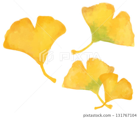 水彩風格的銀杏插畫素材 | 非常適合秋季設計和背景 | 自然優雅的秋葉素材 水彩風格的銀杏插畫素材 | 非常適合秋季設計和背景 | 自然優雅的秋葉素材 131767104