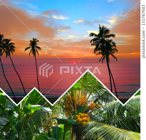 Tropical sunset over ocean with silhouettes of palm trees and coconuts, exotic beach seascape with vibrant sky, paradise island vacation destination, summer travel nature concept Tropical sunset over ocean with silhouettes of palm trees and coconuts, exotic beach seascape with vibrant sky, paradise island vacation destination, summer travel nature concept 131767683