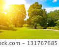 Sunny park landscape with green trees, vibrant grass lawn and bright sunlight in summer day, peaceful outdoor scene with walking path and natural environment, horizontal orientation, copy space 131767685