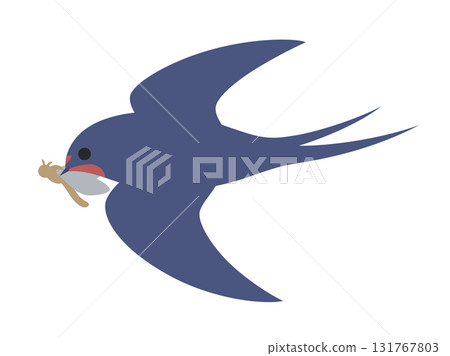 一隻燕子低空飛行捕捉昆蟲的插圖 131767803