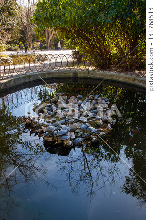 Artificial pond with and turtles (Red-eared Slider) located in the city center, in the park in Athens, Greece Artificial pond with and turtles (Red-eared Slider) located in the city center, in the park in Athens, Greece 131768513