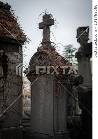 Ghent, Belgium - November 16 2024. Ancient cemetery tombs and grave stones on Campo Santo historical old graveyard in Sint-amandsberg municipality Ghent, Belgium - November 16 2024. Ancient cemetery tombs and grave stones on Campo Santo historical old graveyard in Sint-amandsberg municipality 131768560