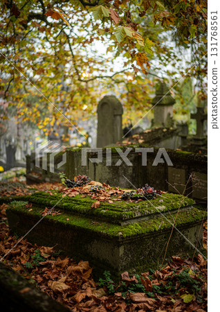 Ghent, Belgium - November 16 2024. Ancient cemetery tombs and grave stones on Campo Santo historical old graveyard in Sint-amandsberg municipality Ghent, Belgium - November 16 2024. Ancient cemetery tombs and grave stones on Campo Santo historical old graveyard in Sint-amandsberg municipality 131768561