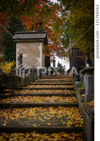 Ghent, Belgium - November 16 2024. Ancient cemetery tombs and grave stones on Campo Santo historical old graveyard in Sint-amandsberg municipality 131768563