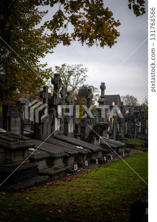 Ghent, Belgium - November 16 2024. Ancient cemetery tombs and grave stones on Campo Santo historical old graveyard in Sint-amandsberg municipality 131768566