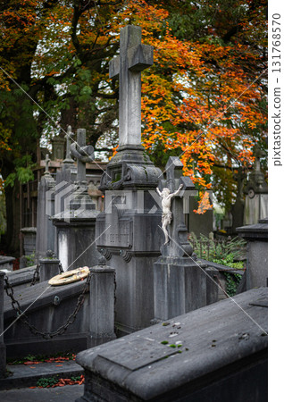 Ghent, Belgium - November 16 2024. Ancient cemetery tombs and grave stones on Campo Santo historical old graveyard in Sint-amandsberg municipality 131768570