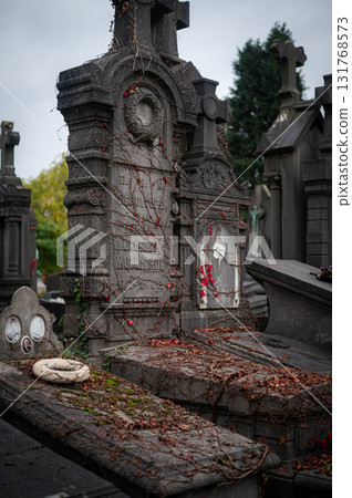 Ghent, Belgium - November 16 2024. Ancient cemetery tombs and grave stones on Campo Santo historical old graveyard in Sint-amandsberg municipality Ghent, Belgium - November 16 2024. Ancient cemetery tombs and grave stones on Campo Santo historical old graveyard in Sint-amandsberg municipality 131768573