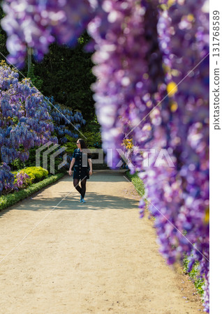 Young beautiful woman standing gracefully beside cascading purple wisteria flowers in bloom. 131768589