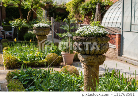 Historic botanical garden in Leuven, Belgium, featuring rare plants, serene paths, and beautiful greenhouses. 131768591