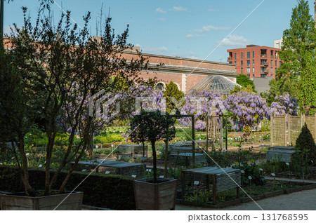 Historic botanical garden in Leuven, Belgium, featuring rare plants, serene paths, and beautiful greenhouses. 131768595