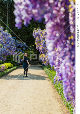Young beautiful woman standing gracefully beside cascading purple wisteria flowers in bloom. Young beautiful woman standing gracefully beside cascading purple wisteria flowers in bloom. 131768597