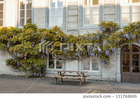 Leuven, Belgium - April 26, 2025: Lively Oude Markt Square in Leuven, Belgium, known as the longest bar in the world, with historic buildings and vibrant atmosphere. Leuven, Belgium - April 26, 2025: Lively Oude Markt Square in Leuven, Belgium, known as the longest bar in the world, with historic buildings and vibrant atmosphere. 131768600