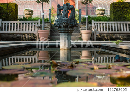 Historic botanical garden in Leuven, Belgium, featuring rare plants, serene paths, and beautiful greenhouses. 131768605