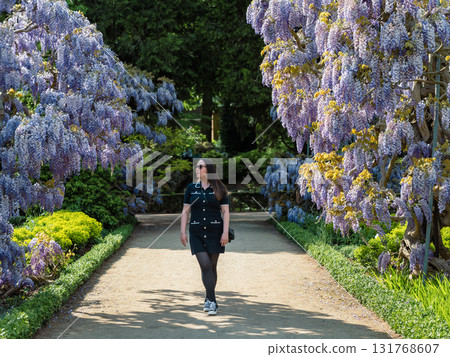 Young beautiful woman standing gracefully beside cascading purple wisteria flowers in bloom. Young beautiful woman standing gracefully beside cascading purple wisteria flowers in bloom. 131768607