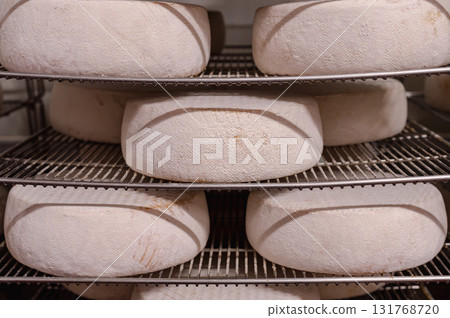 Cheese wheels made from cows milk aging on wooden shelves inside a cheese factory. 131768720