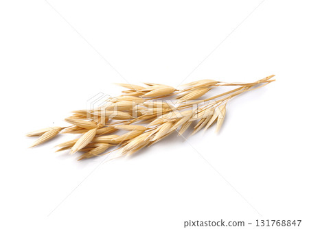 wheat, ear, corn 131768847