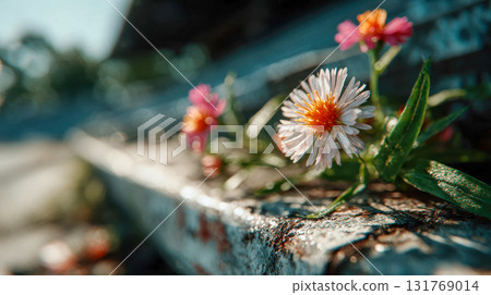 Bright yellow wildflowers blooming through cracks of an old rusty metal surface in morning sunlight 131769014
