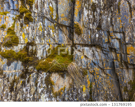 Rugged rock covered in vibrant green moss in nature setting Rugged rock covered in vibrant green moss in nature setting 131769195