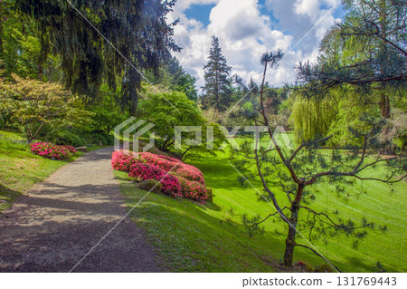 Awe  forest in Pays de La Loire 131769443