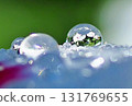 Rain jewelry 131769655