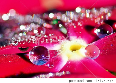 Rain jewelry Rain jewelry 131769657