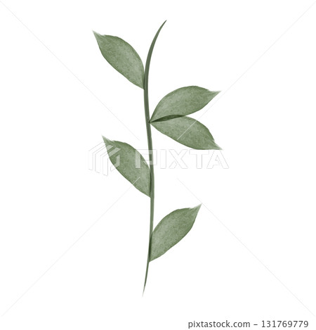 A watercolor illustration depicts a delicate flower stem with green leaves. The stem is vertically oriented against a clear white backdrop, creating a simple yet elegant design. A watercolor illustration depicts a delicate flower stem with green leaves. The stem is vertically oriented against a clear white backdrop, creating a simple yet elegant design. 131769779