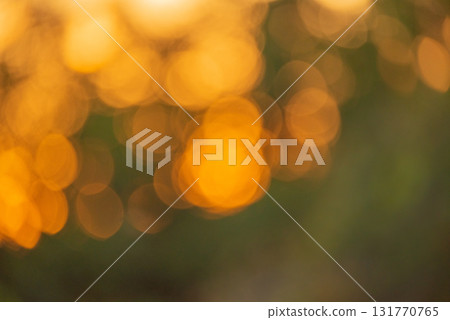 Defocused natural background. Defocused light at sunset nature. Defocused natural background. Defocused light at sunset nature. 131770765