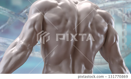 The Human Body for Science or medical concept 3d Rendering. The Human Body for Science or medical concept 3d Rendering. 131770869