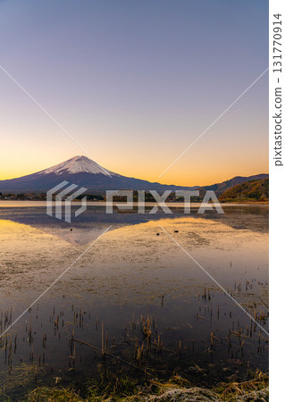 [富士山資料]冬天的早晨從河口湖看到的富士山[山梨縣] 131770914