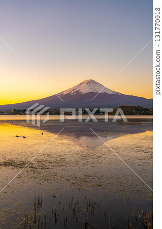 [Mt. Fuji material] Mt. Fuji seen from Lake Kawaguchi on a winter morning [Yamanashi Prefecture] 131770918