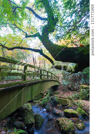 白水瀑布的紅葉（大分縣竹田市） 131771069