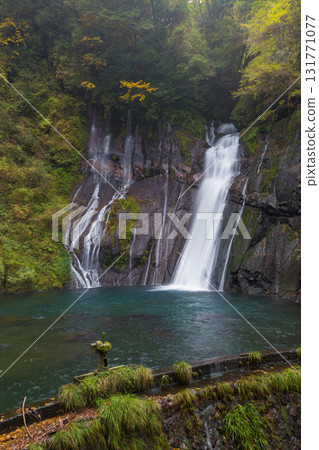 Autumn leaves at Shiramizu Falls (Taketa City, Oita Prefecture) Autumn leaves at Shiramizu Falls (Taketa City, Oita Prefecture) 131771077