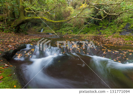 白水瀑布的紅葉（大分縣竹田市） 131771094