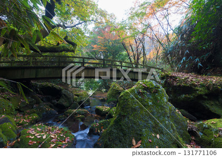 白水瀑布的紅葉（大分縣竹田市） 131771106