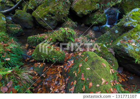 Autumn leaves at Shiramizu Falls (Taketa City, Oita Prefecture) 131771107