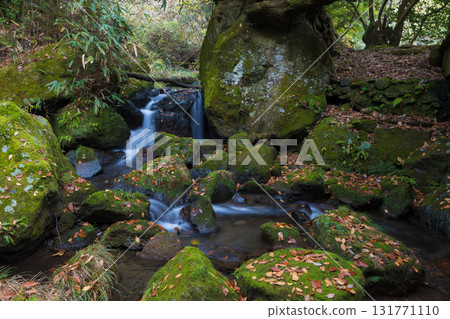 Autumn leaves at Shiramizu Falls (Taketa City, Oita Prefecture) 131771110