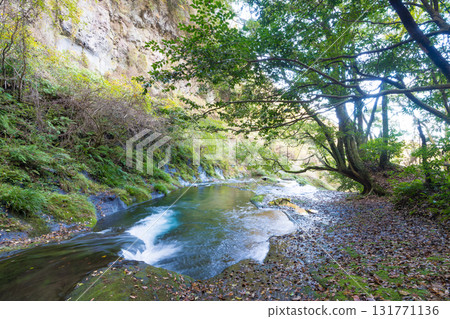 Autumn leaves at Shiramizu Falls (Taketa City, Oita Prefecture) Autumn leaves at Shiramizu Falls (Taketa City, Oita Prefecture) 131771136